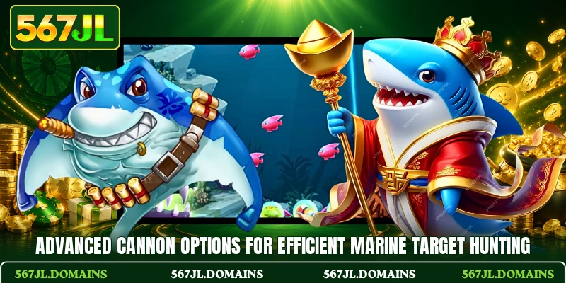 Advanced cannon options for efficient marine target hunting
