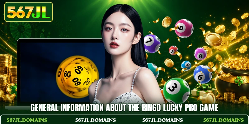 General information about the Bingo Lucky Pro game General information about the Bingo Lucky Pro game