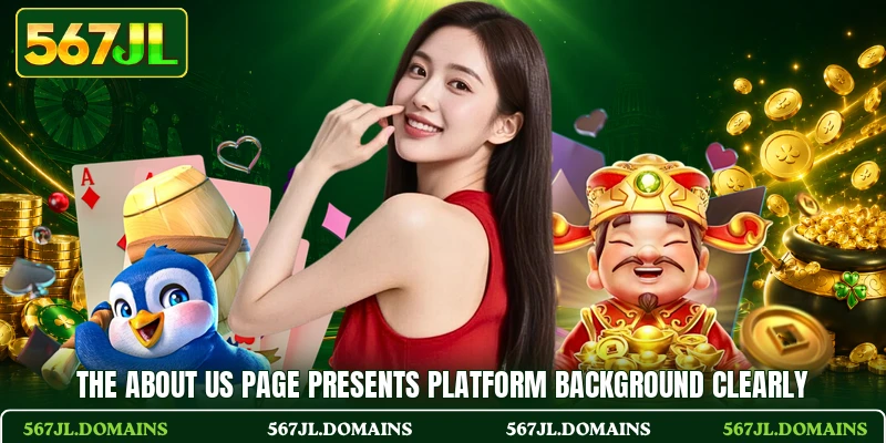 The about us page presents platform background clearly