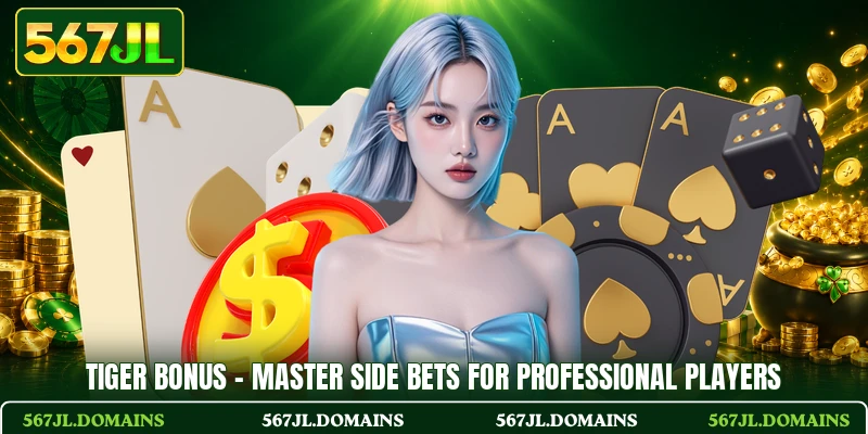 Tiger Bonus - Master Side Bets For Professional Players